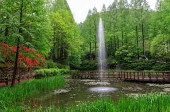 장태산 자연휴양림_11