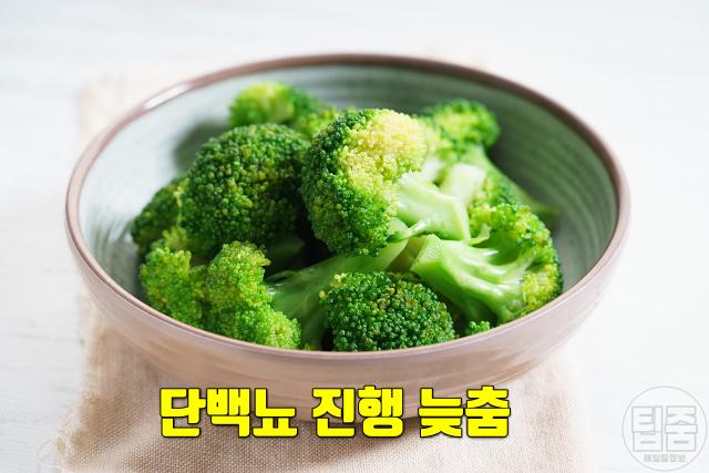 단백뇨 좋은 음식 추천 브로콜리