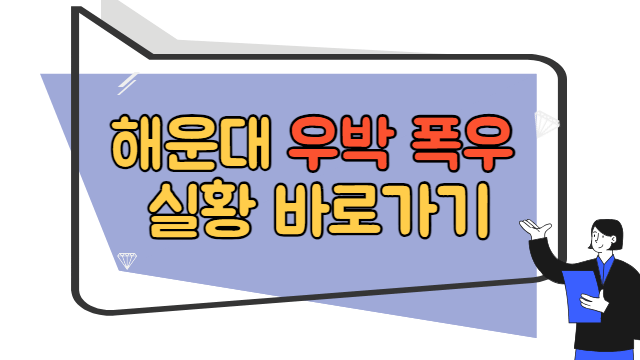 해운대 우박 폭우 실황 바로가기