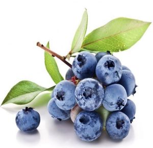 만성피로 해소에 좋은 블루베리