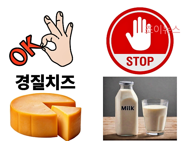 유당불내증과 우유 알레르기, 치즈를 먹어도 될까?