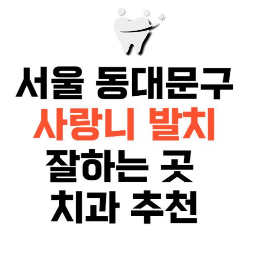 서울 동대문구 사랑니 발치 잘하는 곳 치과 추천 매복 가격 비용.png