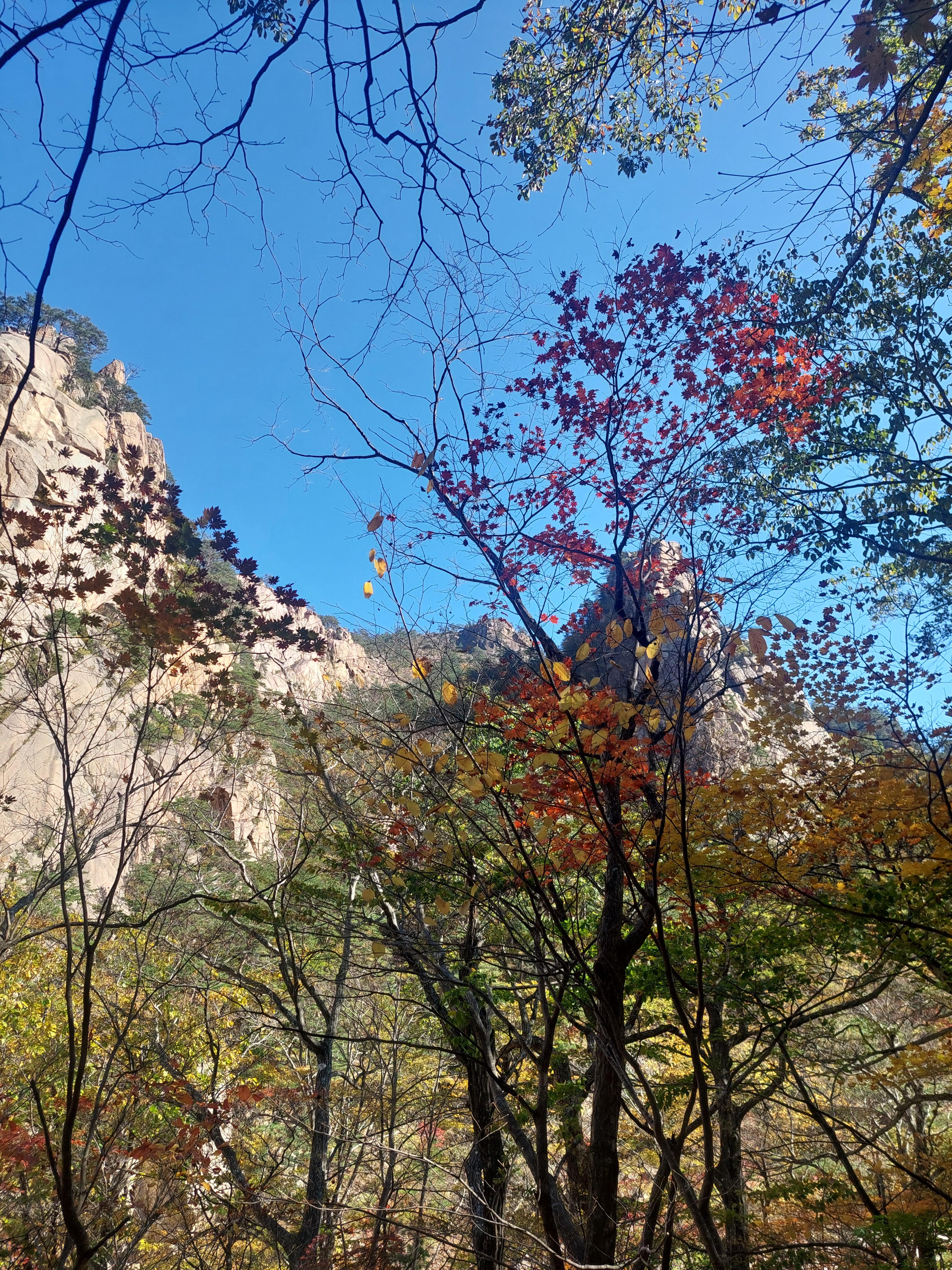 설악산