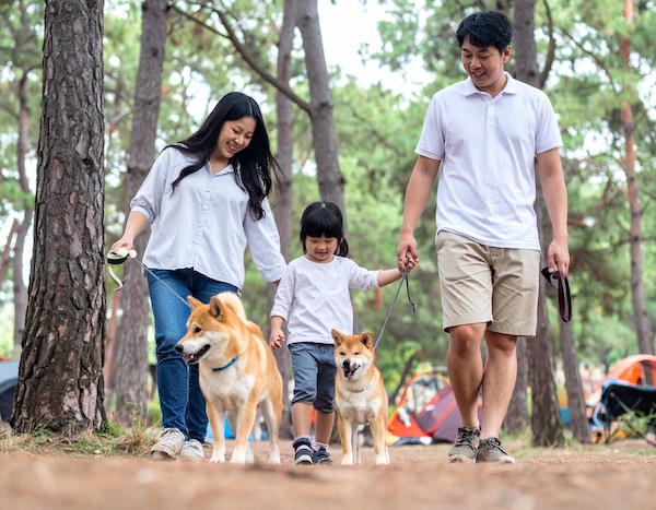 검마산자연휴양림을 방문한 여행객들 모습