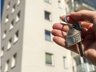 직방·다방 원룸 전입신고 가능 여부 확인법|위반건축물 체크 필수