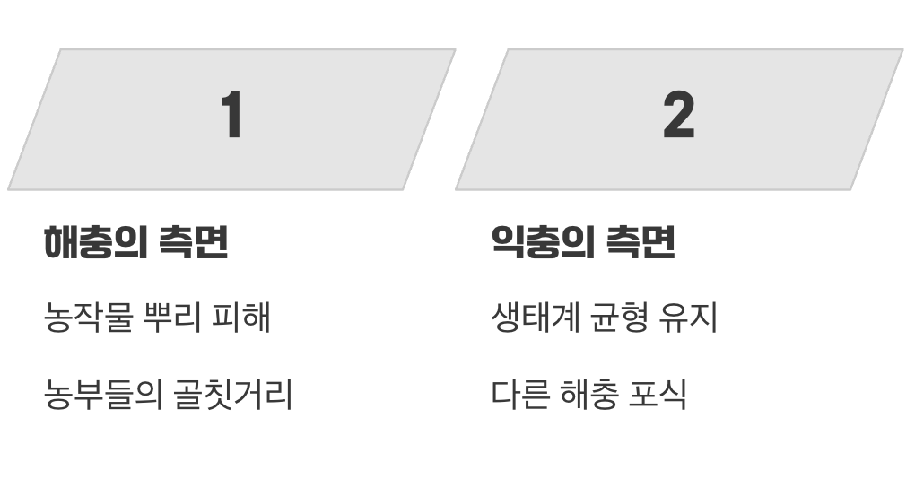 땅강아지는 친구일까 적일까?