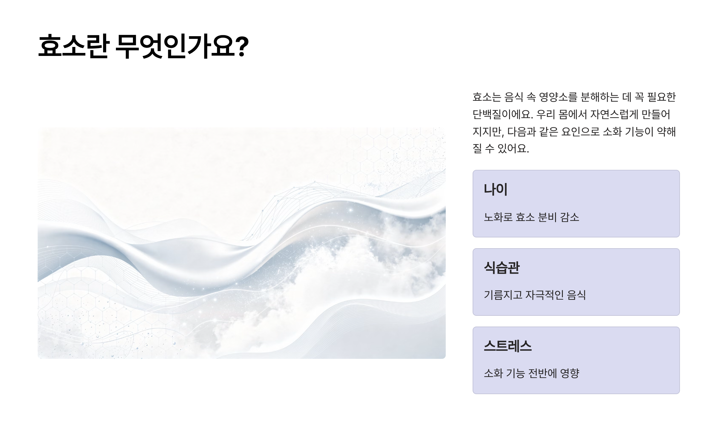 캡슐레이션효소 효능