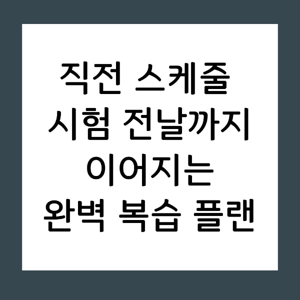 직전 스케줄 시험 전날까지 이어지는 완벽 복습 플랜