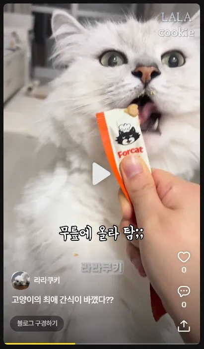 다음채널-오늘의숏-올리는-방법-완료