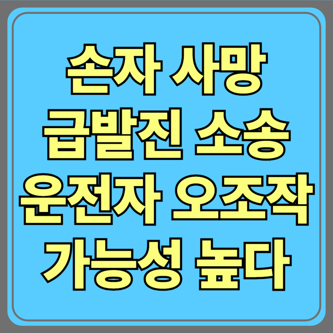손자 사망 급발진 소송…법원 “운전자 오조작 가능성 높다” 판결