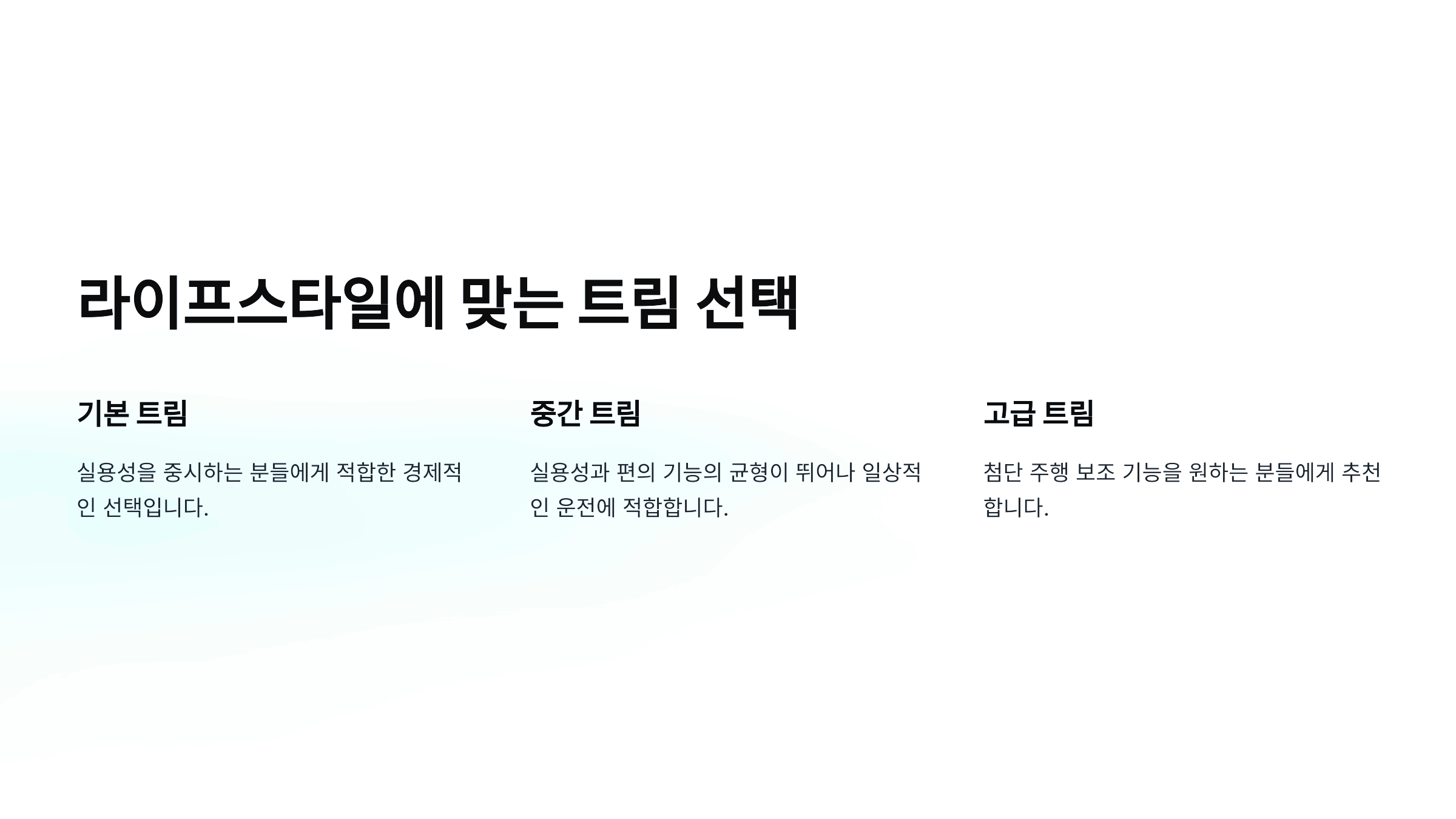 라이프스타일에 맞는 트림 선택