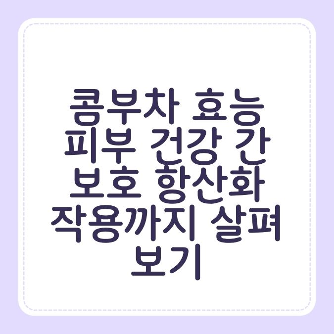 콤부차 효능 피부 건강 간 보호 항산화 작용까지 살펴보기