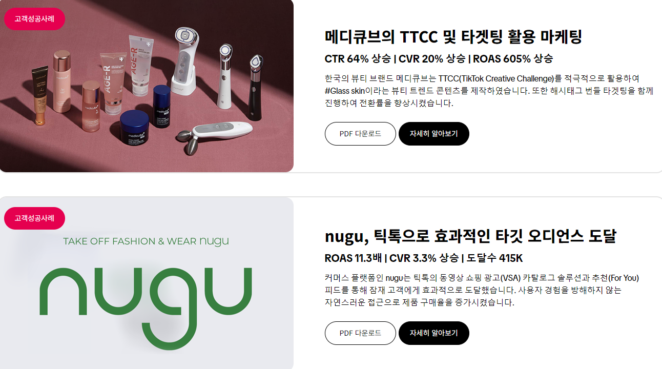 틱톡 성공 사례