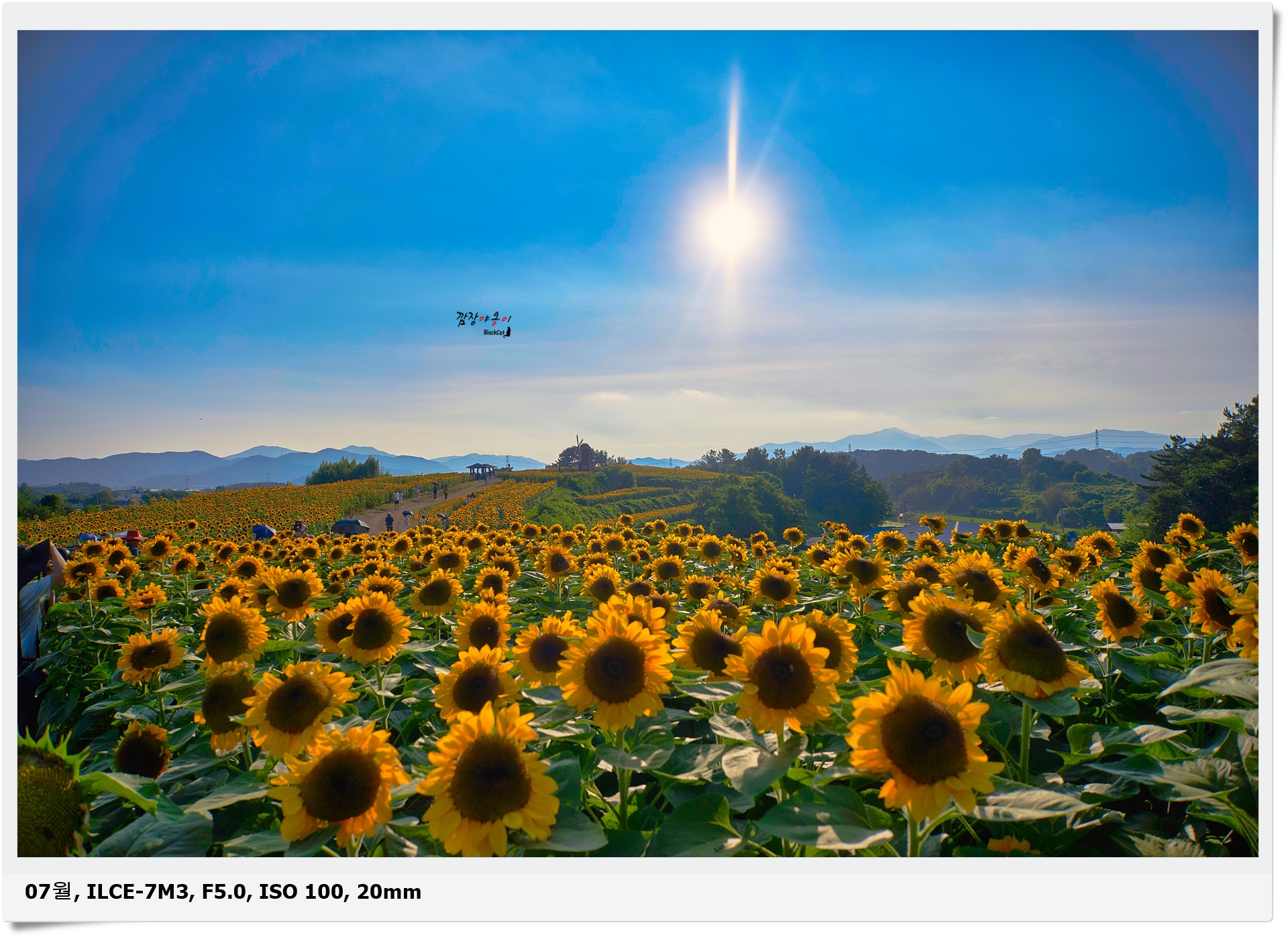 25.07.02 함안 강주 해바라기, 일몰에 가면 참 아름다운 곳