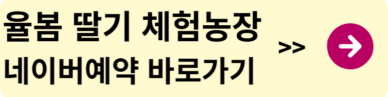딸기 체험농장 추천