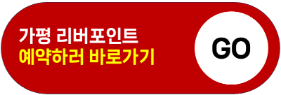 가평 빠지 펜션 놀이기구 패키지 가격 가성비 추천
