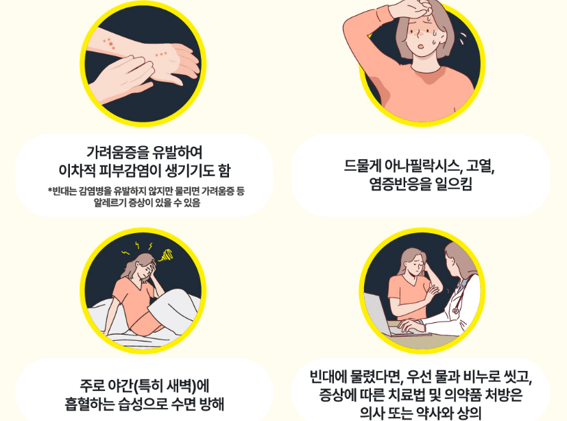 빈대 물림 증상 치료법