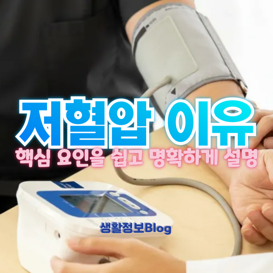 저혈압 이유