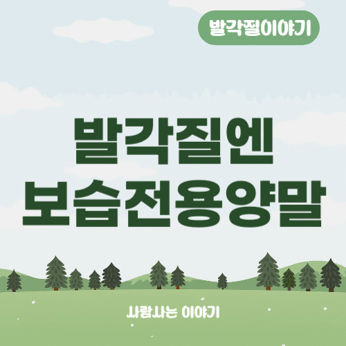 보습 전용 양말, 발 각질 개선에 효과 있을까? 사용법과 종류 총정리
