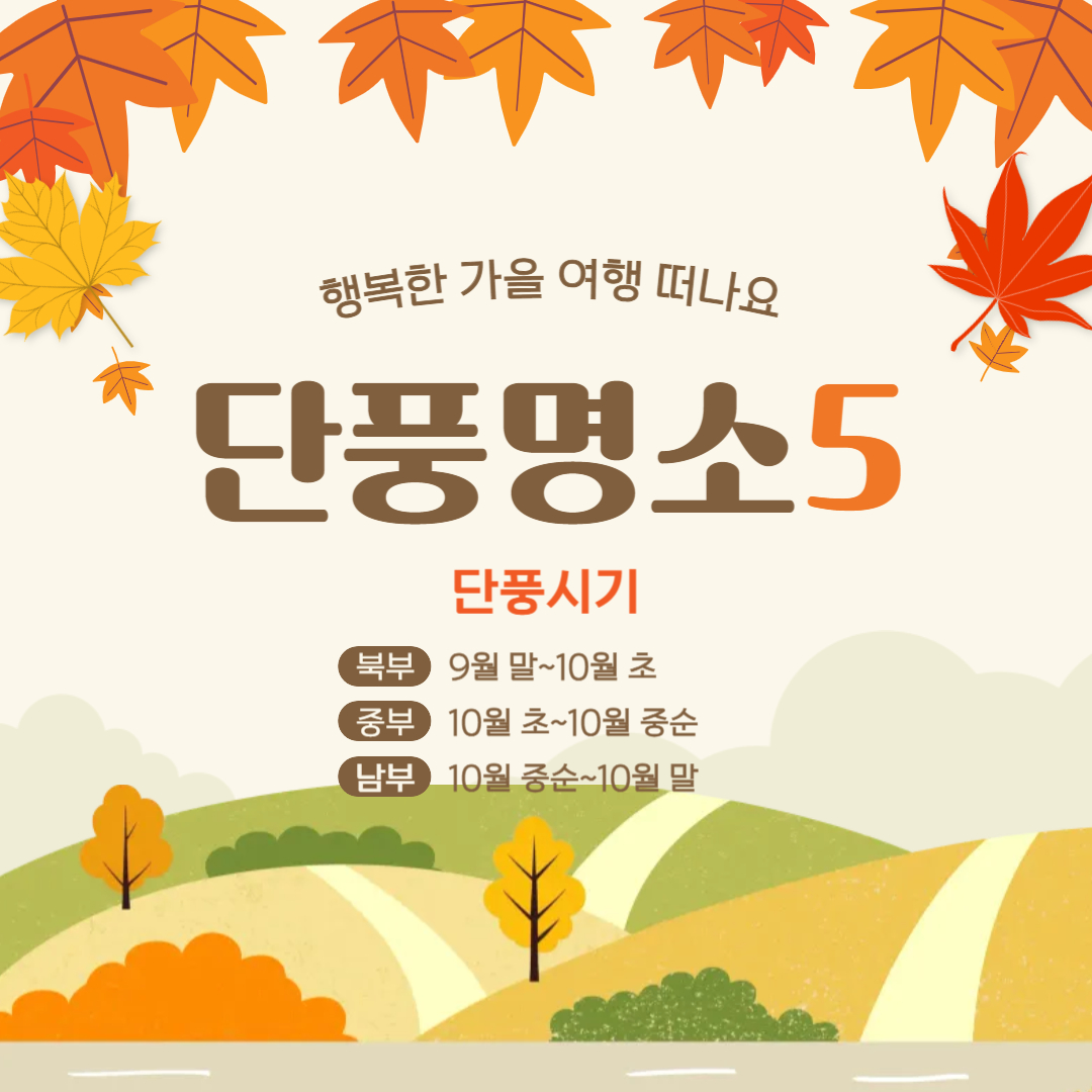 가을 단풍 명소 유명한 산5 추천 🍂