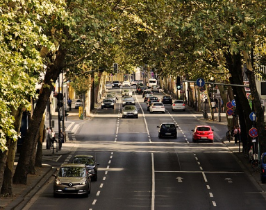자동차세 연납신청 카드결제 방법(무이자혜택)
