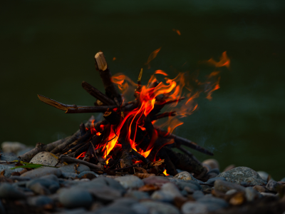 2025 산불 피해 보상 신청 방법