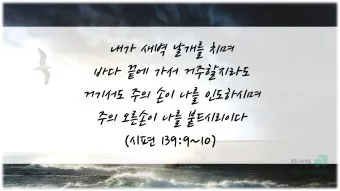 2025년 셋째 주일 낮예배 부활절 대표기도문 모음_14
