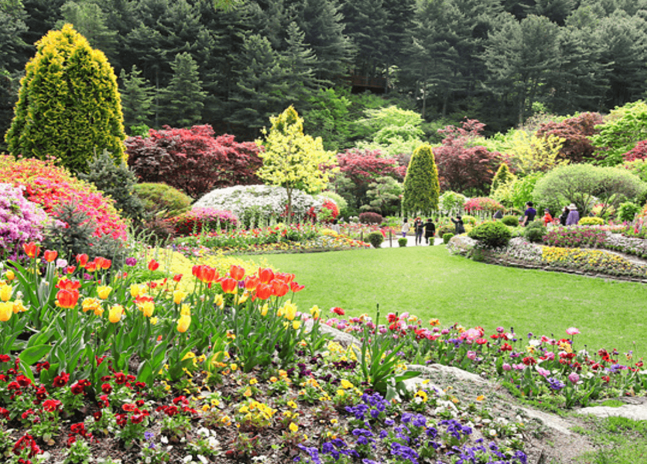 경기도 가평 아침고요수목원 당일치 여행계획