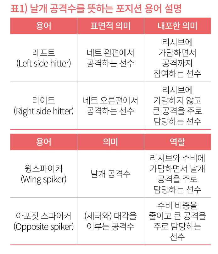 배구 경기 포지션과 역할