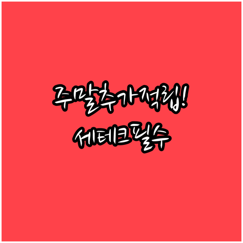 직장인을 위한 모두의카드 주말 추가 ..