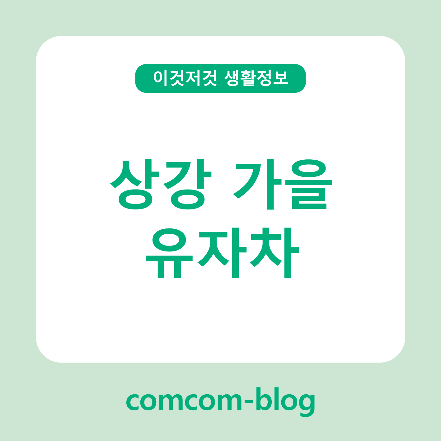 상강, 가을의 따뜻한 한 잔 🍋 유자차로 채우는 마음의 온기