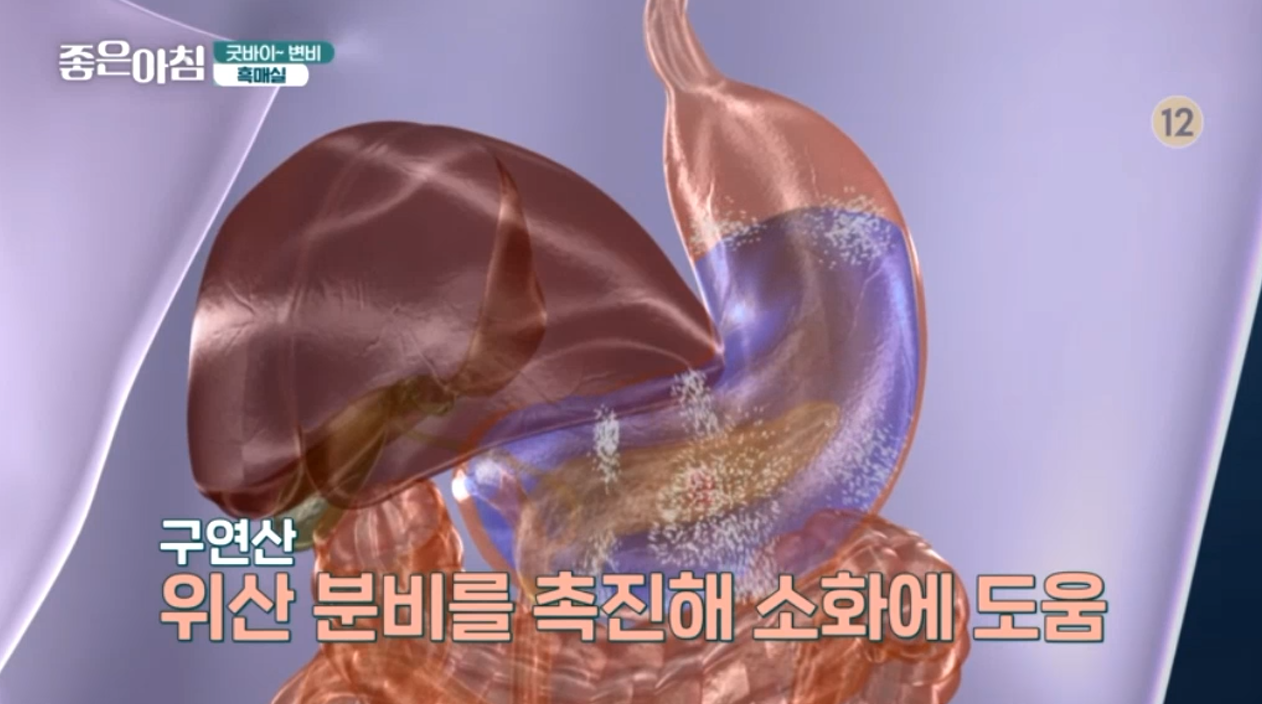 매실 흑매실 효능 매실짱아찌 매실청 만드는법