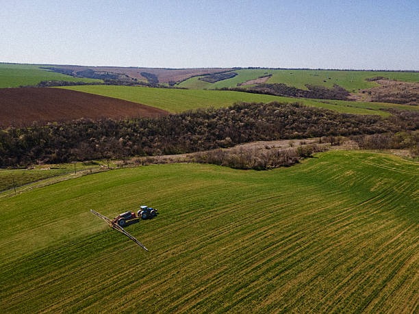 전국민 25만원 민생회복 지원금