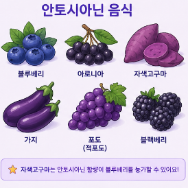안토시아닌-효능-음식-종류-블루베리-영양제-추천-제품