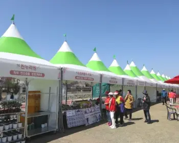 정읍 벚꽃축제_13