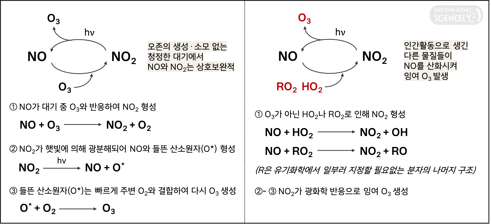 일산화질소, 이산화질소, 오존, 균형, null cycle, net no reaction, 하이드로퍼옥실 라디칼, 퍼옥실 라디칼
