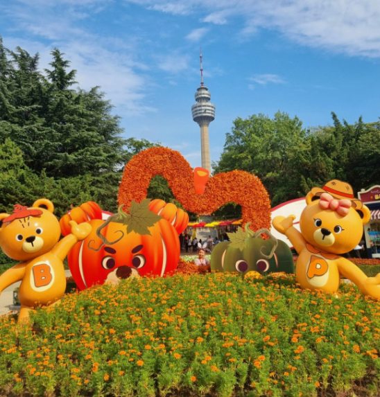 10월 가을축제 BEST 5