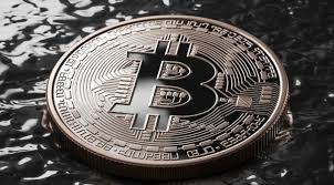 기관 자금 들어온다!" 지금 담아야 할 코인 3종 공개