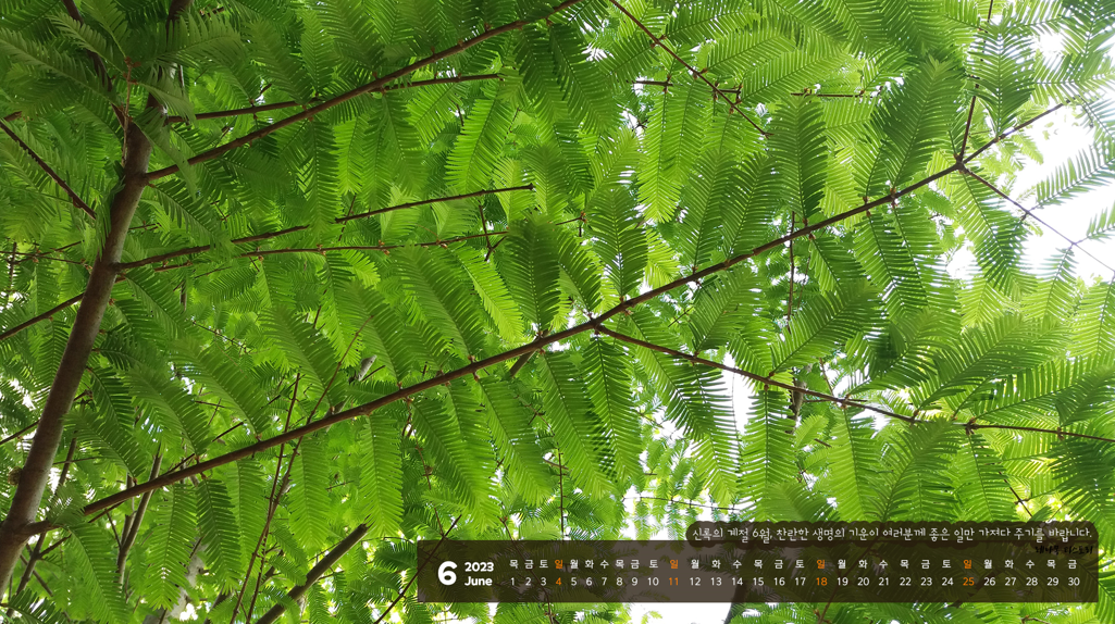 2023년 6월 달력 배경화면