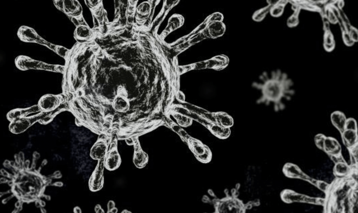 코로나-바이러스-세균