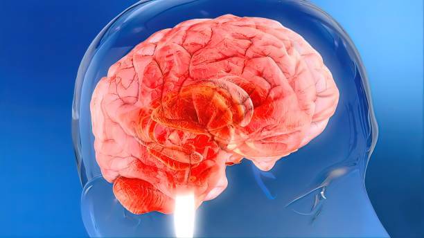 미주신경성 실신, 원인 및 증상을 알아봤습니다. 때때로 사람은 오랫동안 서 있거나 과도한 스트레스를 받은 후 갑자기 의식을 잃고 쓰러질 수 있습니다. 교감 신경이 어떤 원인에 의해 흥분되면 부교감 신경도 반응하여 흥분됩니다. 어떤 원인과 증상이 있는지 참고하시기 바랍니다.