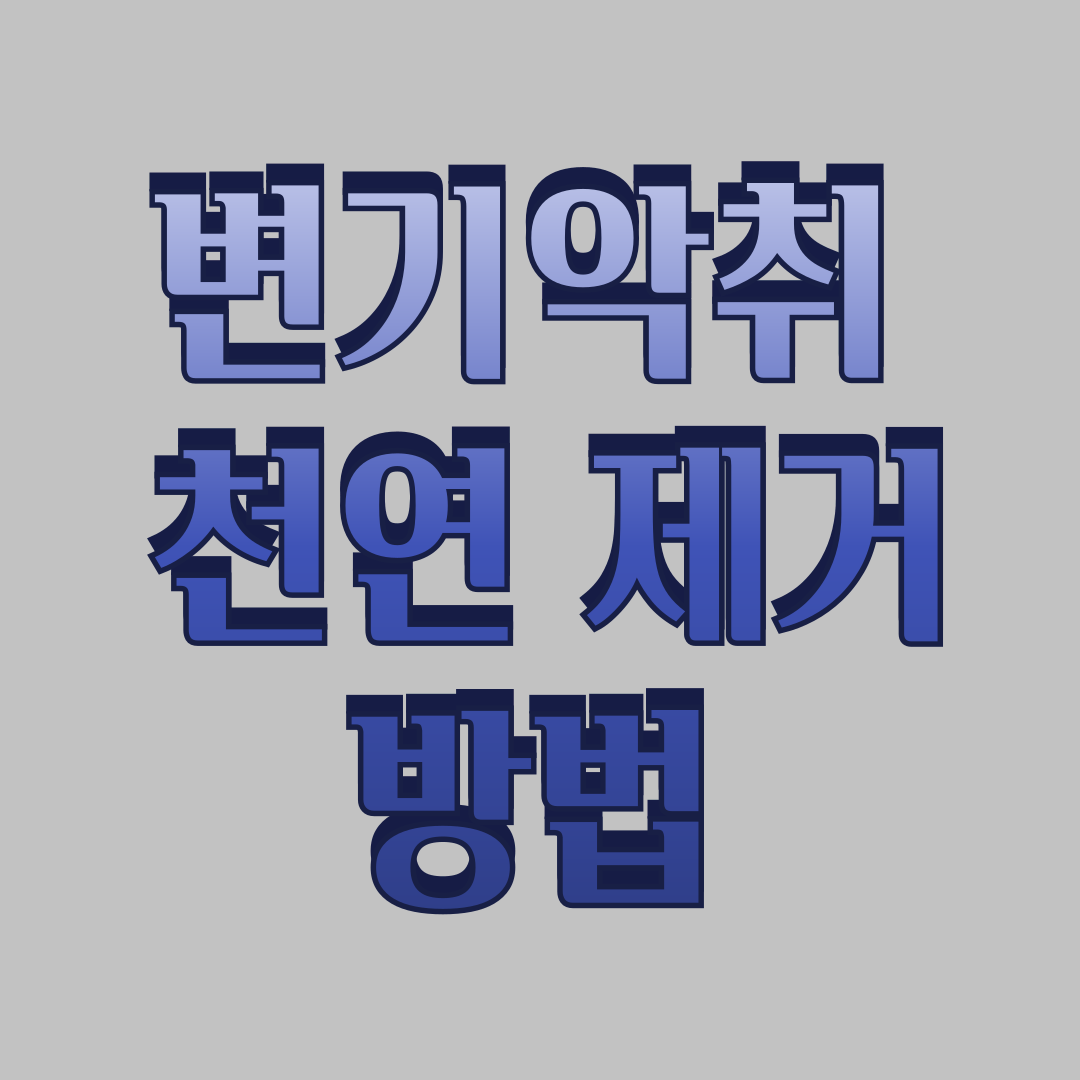 변기 악취 제거 천연 방법