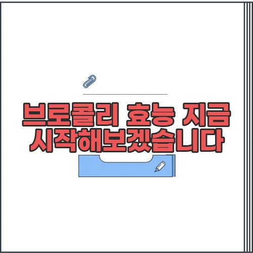 브로콜리 효능 지금 시작해보겠습니다