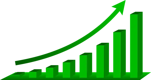 신용 등급 관리, 신용 점수 관리 방법