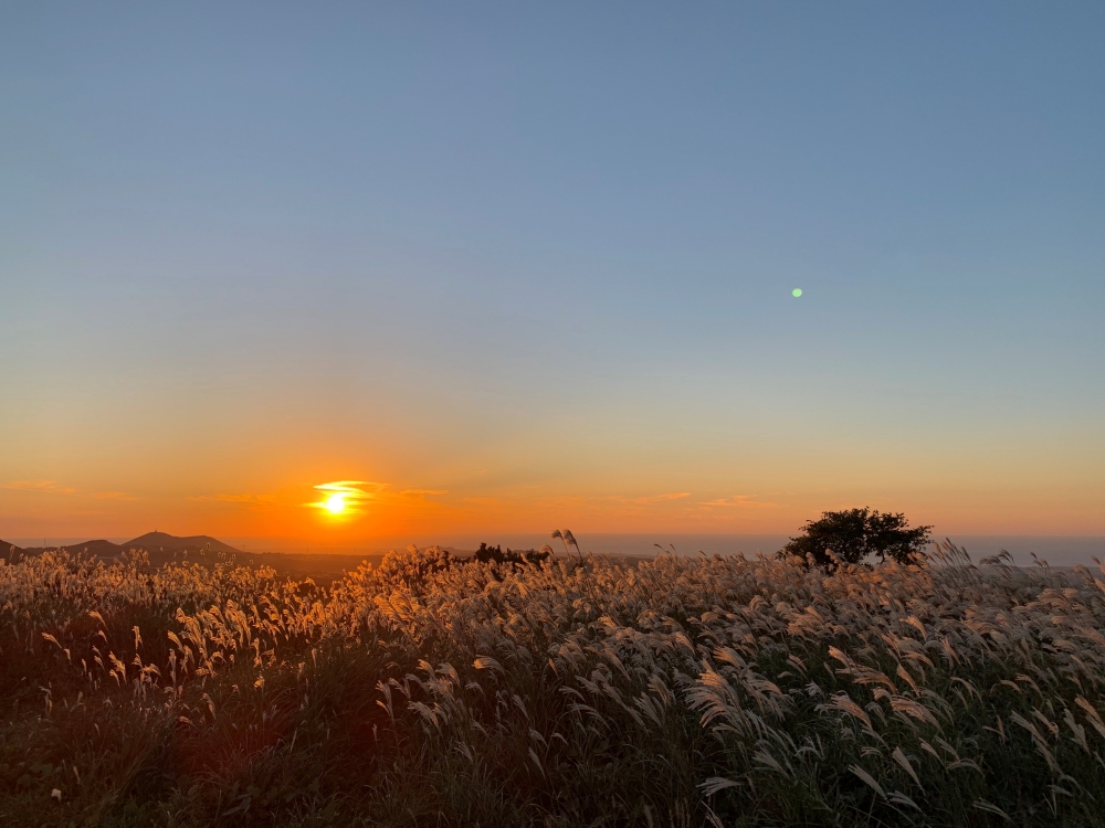 제주 노을 맛집