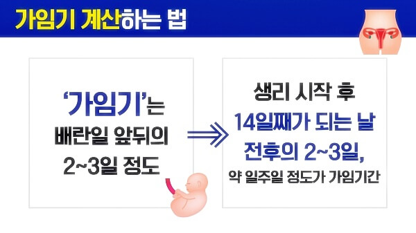 가임기-계산법