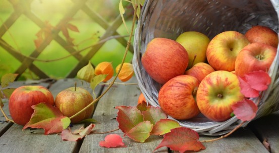 가을철 반찬, 밑반찬, 음식 추천