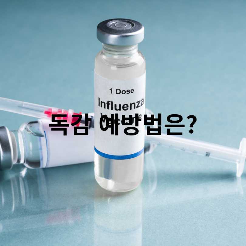 A형독감 vs B형독감 증상 차이 