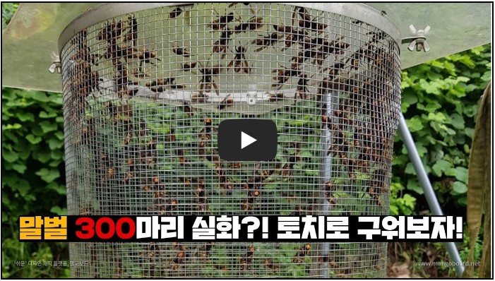 농부 유튜버 순위 TOP 10 10