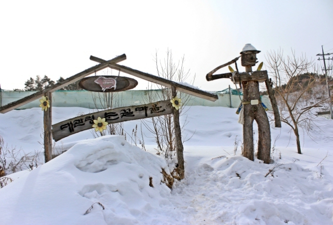 겨울에/꼭/가봐야/하는/여행지/강원도/평창